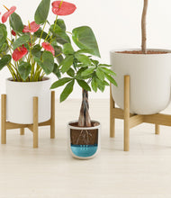 Load image into Gallery viewer, Cotton stand:two_stands
