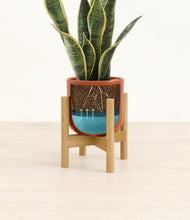 Load image into Gallery viewer, Glossy Red stand:bamboo
