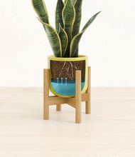 Load image into Gallery viewer, Key Lime Yellow stand:bamboo

