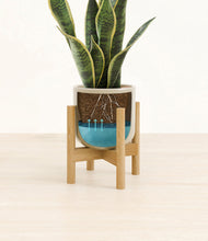 Load image into Gallery viewer, Sage Green stand:bamboo
