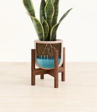 Load image into Gallery viewer, Sandy Pink stand:walnut
