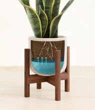 Load image into Gallery viewer, Snowdrift White stand:bamboo
