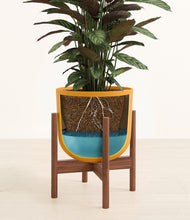 Load image into Gallery viewer, Sunset Orange stand:walnut
