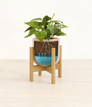 Load image into Gallery viewer, Glossy Pink stand:bamboo
