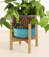 Load image into Gallery viewer, Dark Olive stand:bamboo
