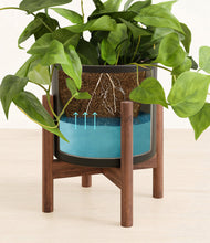 Load image into Gallery viewer, Black stand:walnut
