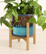 Load image into Gallery viewer, Deep Navy stand:bamboo
