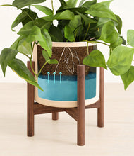 Load image into Gallery viewer, Cream stand:walnut
