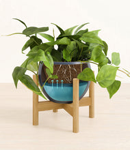 Load image into Gallery viewer, Deep Navy stand:bamboo
