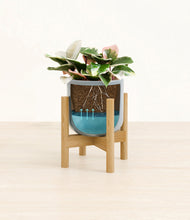 Load image into Gallery viewer, Misty Blue stand:bamboo
