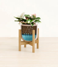 Load image into Gallery viewer, Sandy Pink stand:bamboo
