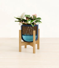 Load image into Gallery viewer, Twilight Blue stand:bamboo
