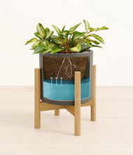Load image into Gallery viewer, Dark Olive stand:bamboo

