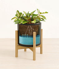 Load image into Gallery viewer, Black stand:bamboo
