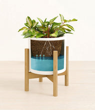 Load image into Gallery viewer, White stand:bamboo
