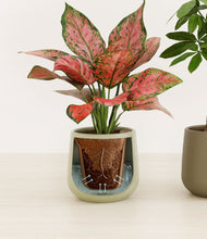 Load image into Gallery viewer, Woodland Hues stand:all
