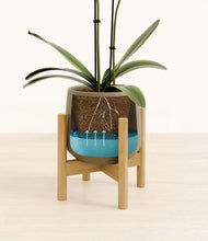 Load image into Gallery viewer, Olive stand:bamboo
