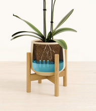Load image into Gallery viewer, Almond Green stand:bamboo
