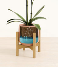 Load image into Gallery viewer, Calm Rose stand:bamboo

