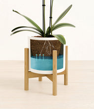 Load image into Gallery viewer, White stand:bamboo
