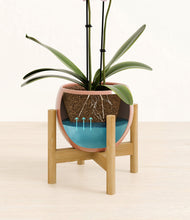 Load image into Gallery viewer, Calm Rose stand:bamboo
