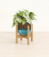 Load image into Gallery viewer, Misty Blue stand:bamboo
