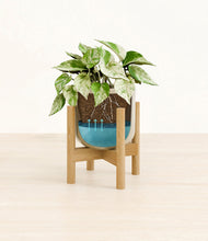 Load image into Gallery viewer, Sage Green stand:bamboo
