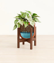 Load image into Gallery viewer, Glossy Red stand:walnut
