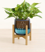 Load image into Gallery viewer, Deep Navy stand:bamboo
