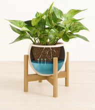 Load image into Gallery viewer, Shiny EggWhite stand:bamboo
