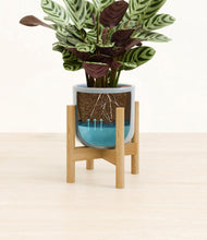 Load image into Gallery viewer, Misty Blue stand:bamboo
