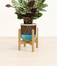 Load image into Gallery viewer, Sage Green stand:bamboo
