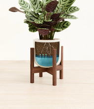 Load image into Gallery viewer, Cotton White stand:walnut
