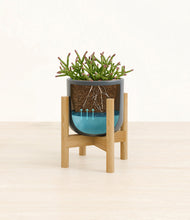 Load image into Gallery viewer, Iron Gray stand:bamboo
