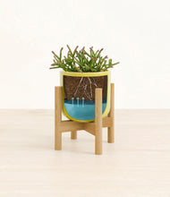 Load image into Gallery viewer, Key Lime Yellow stand:bamboo

