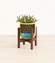 Load image into Gallery viewer, Key Lime Yellow stand:walnut
