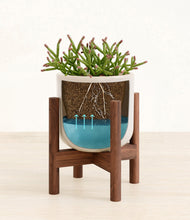 Load image into Gallery viewer, Snowdrift White stand:bamboo
