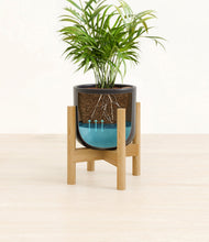 Load image into Gallery viewer, Stone Black stand:bamboo
