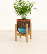 Load image into Gallery viewer, Glossy Red stand:bamboo
