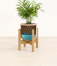 Load image into Gallery viewer, Glossy Pink stand:bamboo
