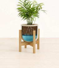 Load image into Gallery viewer, Sage Green stand:bamboo
