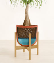 Load image into Gallery viewer, Earth Red stand:bamboo
