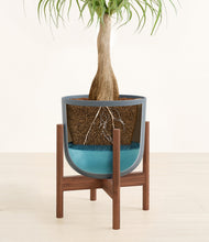 Load image into Gallery viewer, Iron Gray stand:walnut
