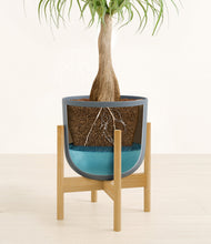 Load image into Gallery viewer, Iron Gray stand:bamboo
