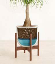 Load image into Gallery viewer, Natural Bamboo stand:walnut
