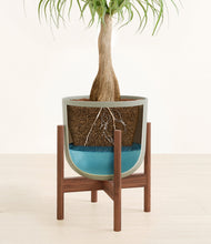 Load image into Gallery viewer, Sage Green stand:walnut

