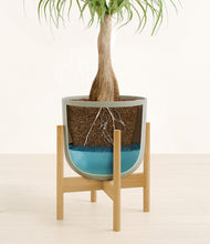 Load image into Gallery viewer, Sage Green stand:bamboo
