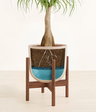 Load image into Gallery viewer, Sandy Pink stand:walnut
