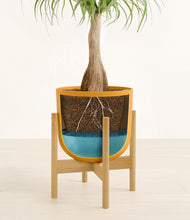 Load image into Gallery viewer, Sunset Orange stand:bamboo
