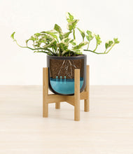 Load image into Gallery viewer, Stone Black stand:bamboo
